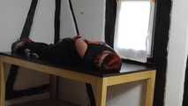 Aurora hogtied on table 2/2