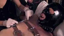Mistress Tokyo - slave in the sling with f*cking machine and nipple play