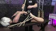 Getting Hogtied