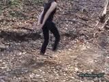 Barefeet in the wood 1 (VCD)