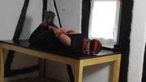 Aurora hogtied on table 2/2