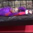 Mara tied and gagged on a princess bed in an old cellar wearing a sexy purple rainwear combination (Video)