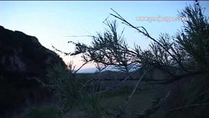 033006 Renee Pornero Pees in The Mojave Desert