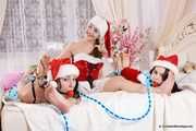 Lucky, Nelly, Xenia - Santa’s little helpers tie each other up on a bed