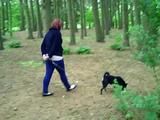 Cuffed walk with a dog