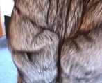 ab-97 Bondage in fur coats (1)