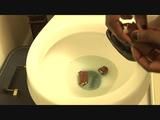 Toilet flushing chocolate cake logs 