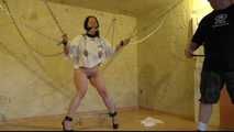 Bullwhip Session with the Chief