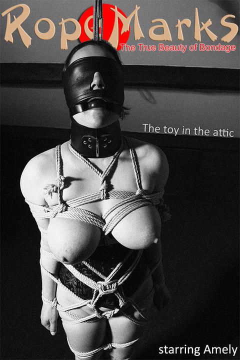 The toy in the attic 