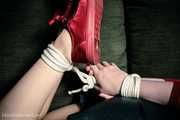 Red Sneaker Hogtie