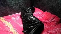 [From archive] Stella - packed in the trash bag on the bed and escapes