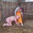Das schmutzige Schwein wird geschlachtet ( Rollenspiel )