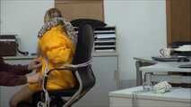 Steffie - Raid in the office Part 6 of 8