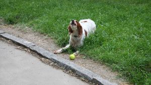 Evening walk in the park