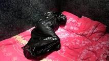 [From archive] Stella - packed in the trash bag on the bed and escapes