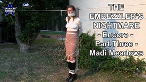 The Embezzler's Nightmare - Encore - Part Three - Madi Meadows