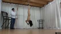 Whipped upside down