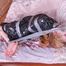 [From archive] Gatitta - captured and hogtaped in trash bag by an intruder