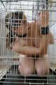 Slavegirl Caged