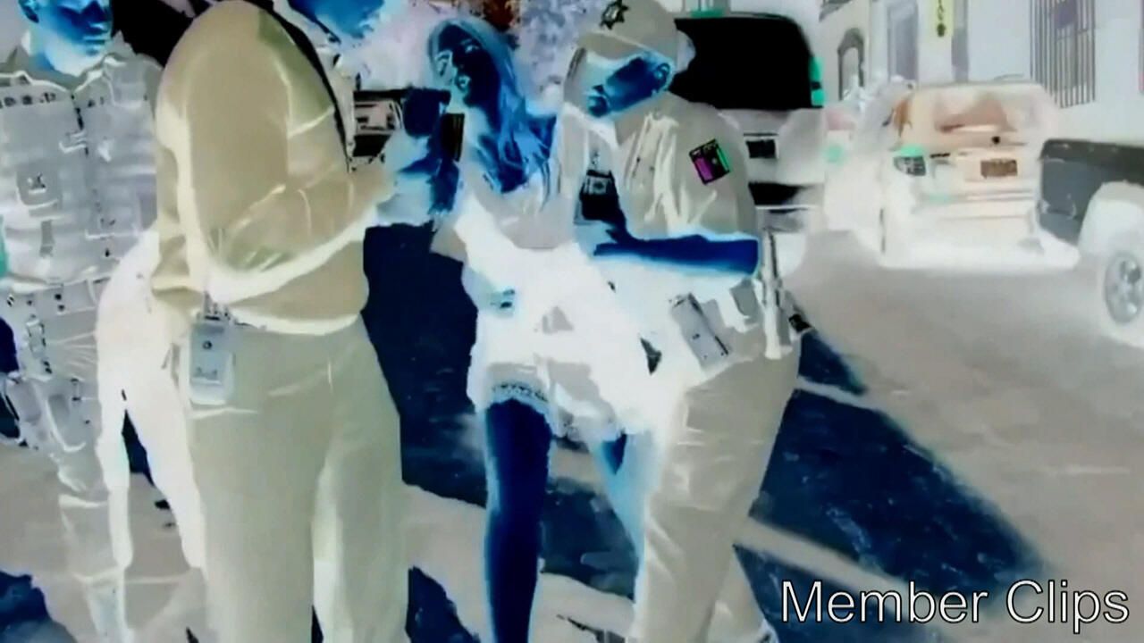 Hdc Bonus - Member Clips 2019 (Revisited)