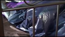 Mara tied and gagged on a princess bed in an old cellar wearing a sexy black nylon pants and a purple rain jacket (Video)