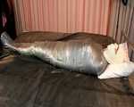 Mummification