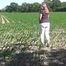 Shackled walk in a field