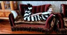 Bekki - Sexy escaped prisoner Bekki with handcuffs and chains (video)