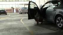 016207 Eve Pees In The Hertz Parking Garage