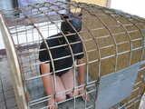 Sklave im Hundekäfig
