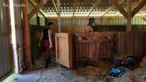 Ponydressur im Stall und auf der Wiese 
