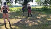 Pony dressage in the stable and on the meadow