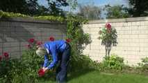 watch Sonja taking care of the garden enjoying her shiny nylon rainpants and her nylon windbreaker!