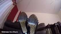 Spiky shoes make a beeline for you