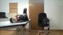 Guest Chelsea - office fantasies Part 5 of 6
