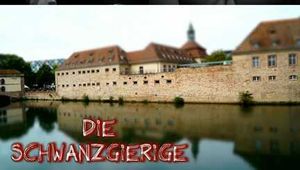 DIE SCHWANZGIERIGE