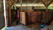 Pony dressage in the stable and on the meadow