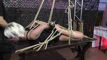 Getting Hogtied