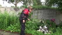 Watching sexy Sandra wearing sexy shiny nylon rainwear gardening outside (Video)