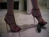 dildo crushing with heels