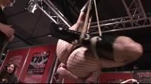 Live Shibari Suspension