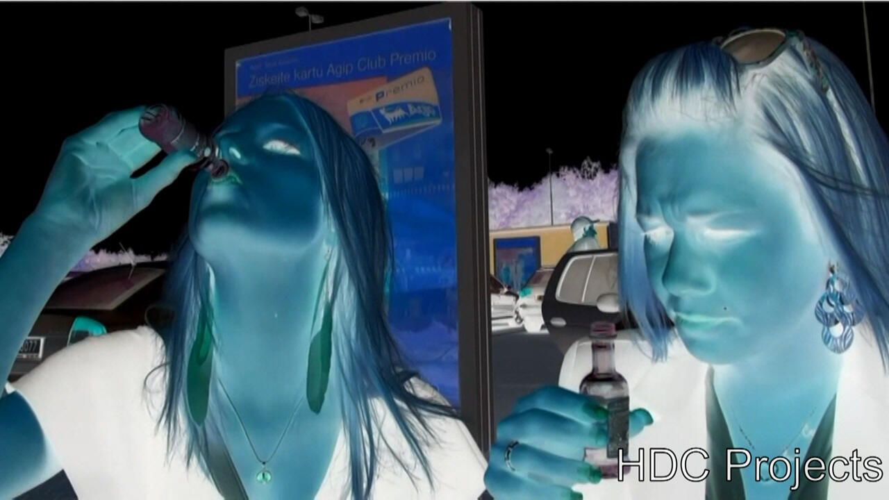 Hdc Bonus - Visit at the Festival (New Version)