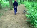 Cuffed walk with a dog