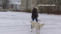 032073 Sam Takes A Huge Standing Pee Whilst Walking The Dog