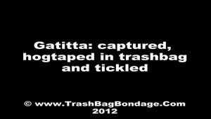 [From archive] Gatitta - captured and hogtaped in trash bag by an intruder and escaped
