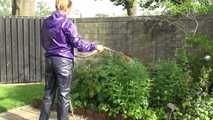 Watching sexy Sandra wearing a sexy blue rain pants and a purple rain jacket watering the flowers in the garden (Video)