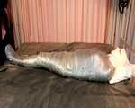 Mummification