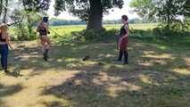 Pony dressage in the stable and on the meadow