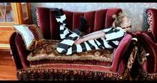 Bekki - Sexy escaped prisoner Bekki with handcuffs and chains (video)