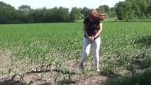 Shackled walk in a field